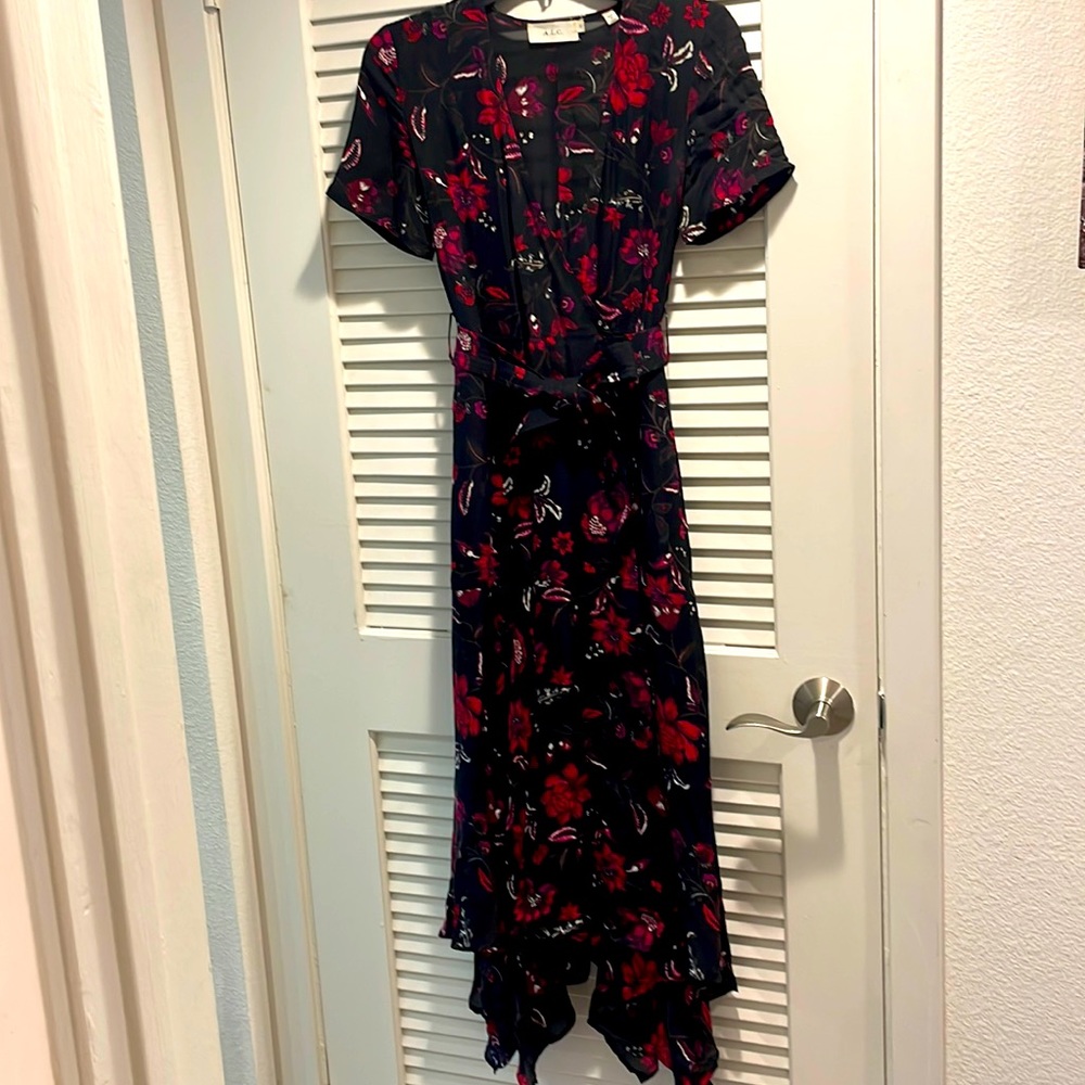 A.L.C. Navy Dress with Red Floral Print